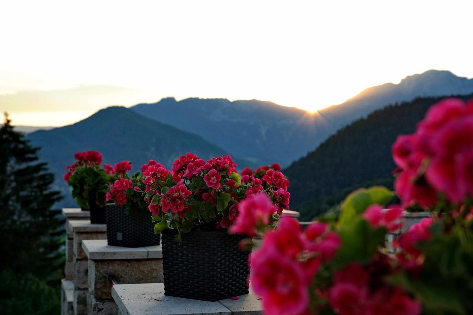 Villa Bello 3*
