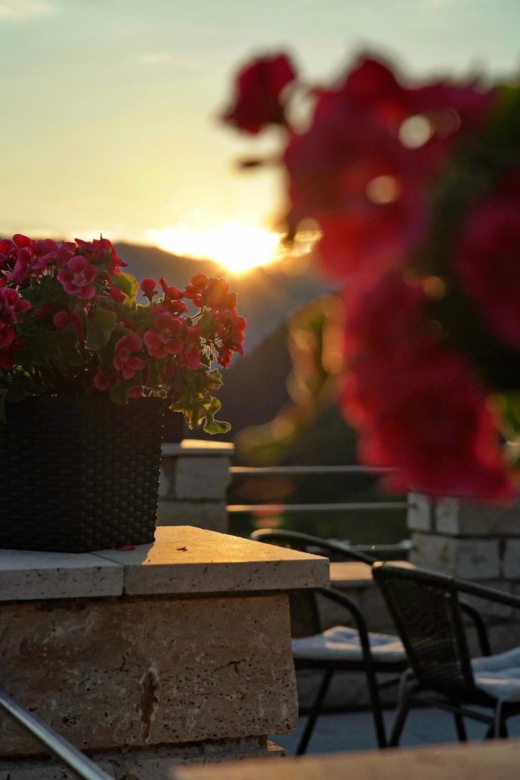 Villa Bello Guest house